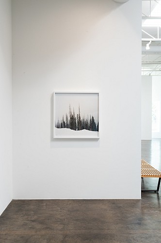 Misty Keasler: Sanctuary Dispatches  - Installation View