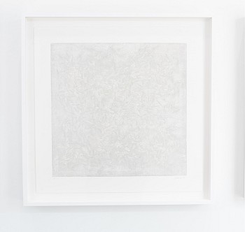 Work: Forest Floor - Winter