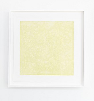 Work: Forest Floor - Spring