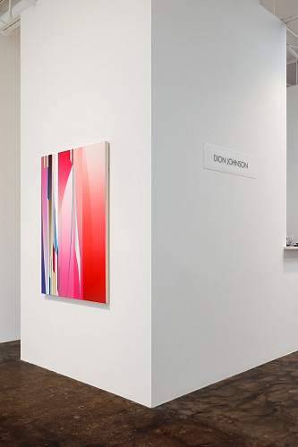 Dion Johnson: Vibrant - Installation View