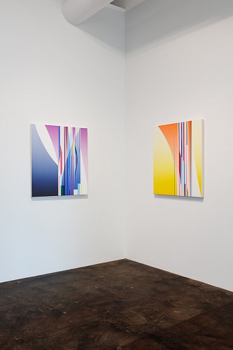 Dion Johnson: Vibrant - Installation View