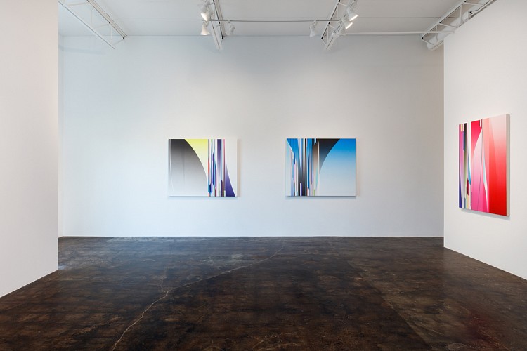 Dion Johnson: Vibrant - Installation View