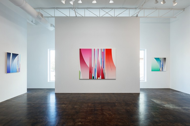 Dion Johnson: Vibrant - Installation View