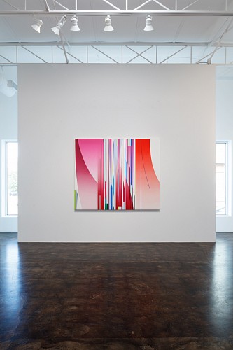 Dion Johnson: Vibrant - Installation View