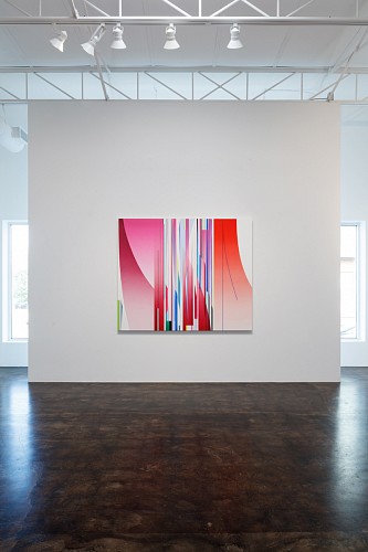 Dion Johnson: Vibrant - Installation View