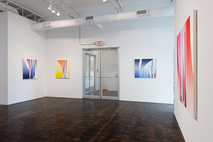 Dion Johnson: Vibrant - Installation View