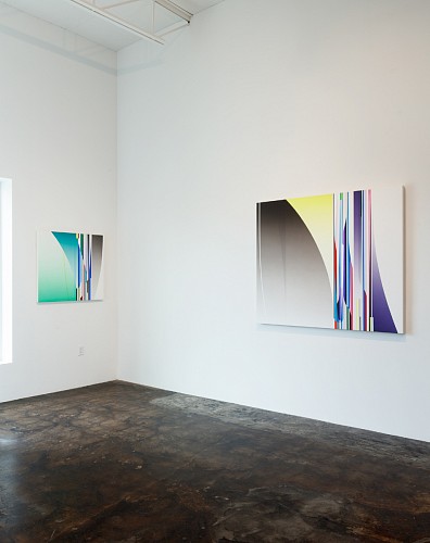 Dion Johnson: Vibrant - Installation View