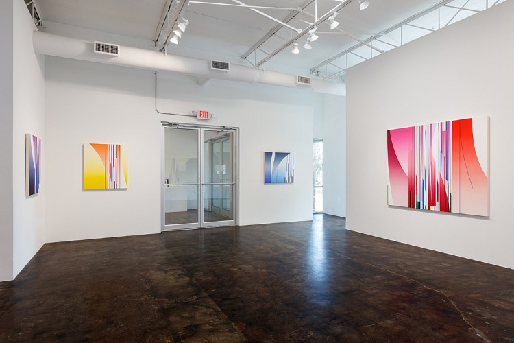 Dion Johnson: Vibrant - Installation View