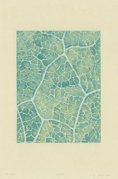 Liz Ward -&nbsp;Increments Suite - Hoja