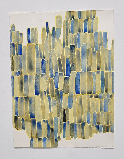 Liz Ward, Cell Assembly , 2017
Watercolor on hand-made linen paper from Vallis Clausa Mill, France, 15 x 11 1/4 in.
LWA-001