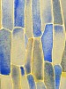 Ward 2017 CellAssembly 15x11.25 detail 300dpi
