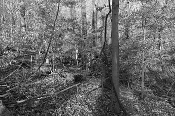 Mike Osborne -&nbsp;Untitled from Federal Triangle