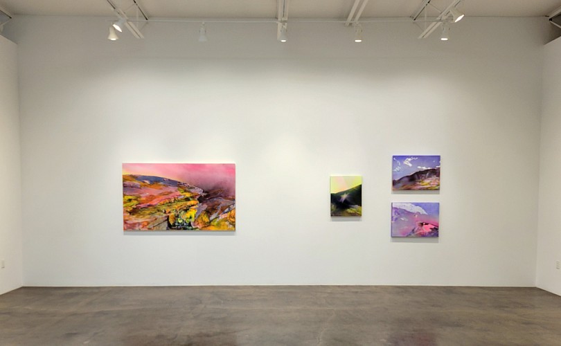 Michelle Mackey: Beyond Measure - Installation View