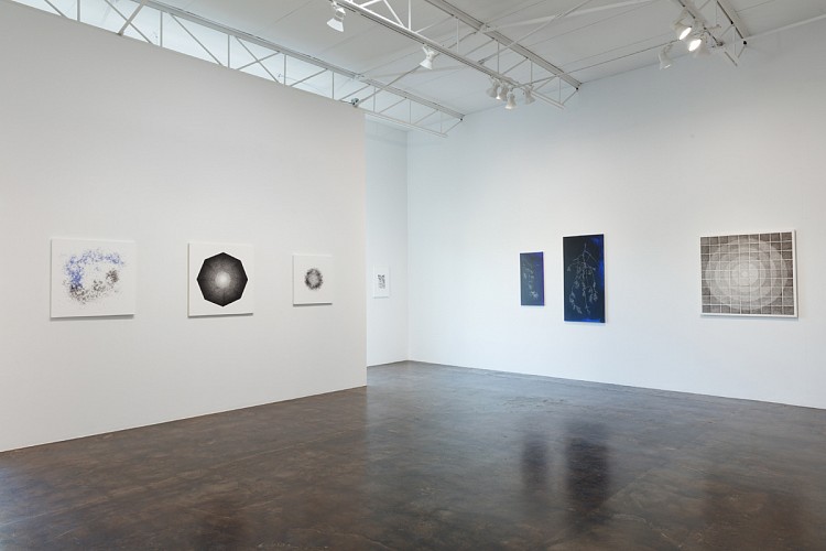 John Adelman: Yes, that might work... - Installation View