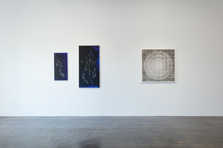 John Adelman: Yes, that might work... - Installation View