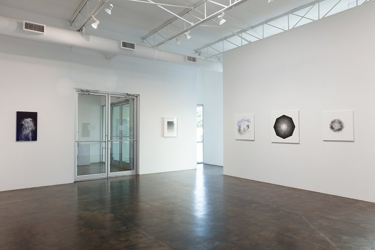 John Adelman: Yes, that might work... - Installation View