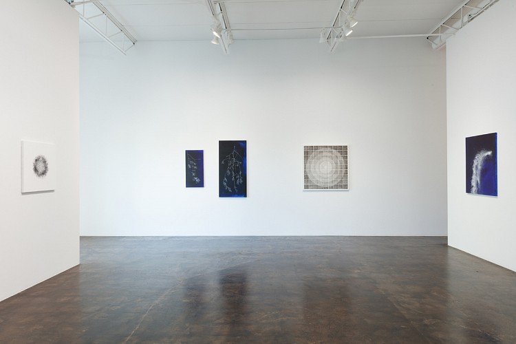 John Adelman: Yes, that might work... - Installation View