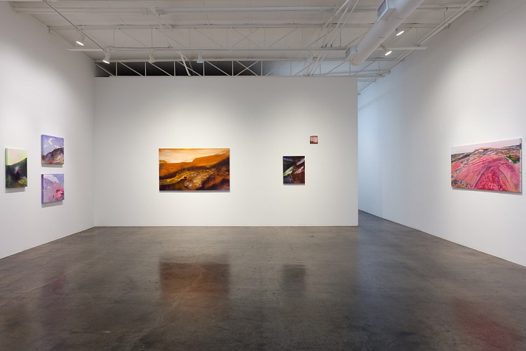 Michelle Mackey: Beyond Measure - Installation View