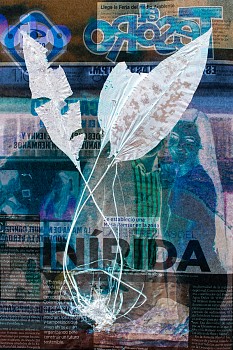 Dornith Doherty - Elaphoglossum papillosum / Establishing Wetlands in InÁ­rida