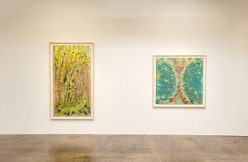 Liz Ward: The Grove&nbsp;