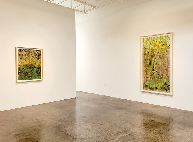 Liz Ward: The Grove - Installation View