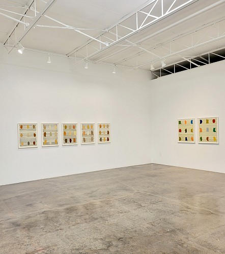 Michael Young: Strata Books and Verb-ers - Installation View