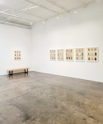 Michael Young: Strata Books and Verb-ers - Installation View