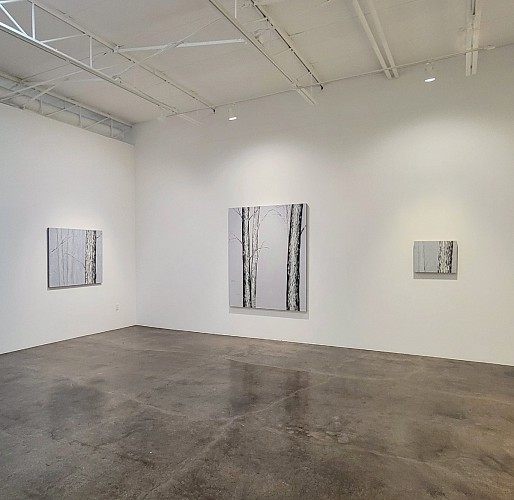 Douglas Leon Cartmel: Snowy Forest - Installation View