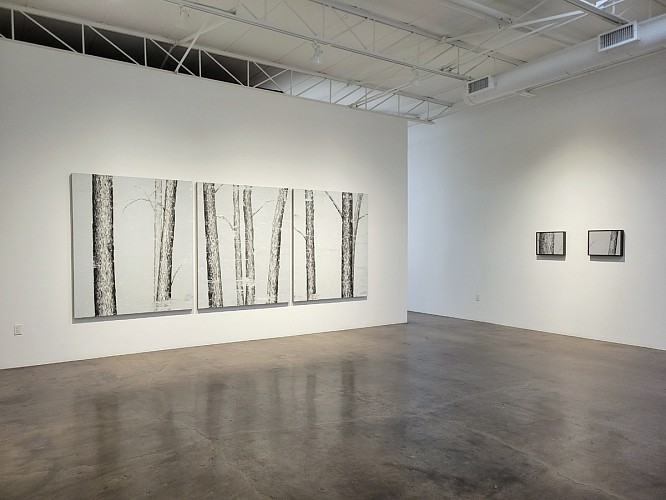 Douglas Leon Cartmel: Snowy Forest - Installation View