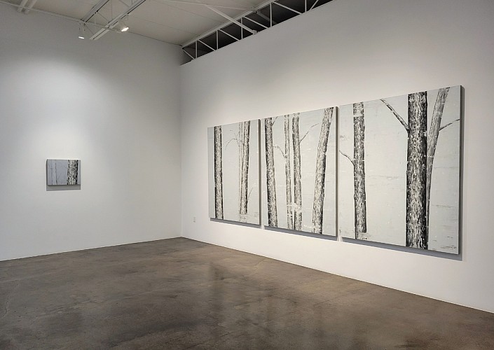 Douglas Leon Cartmel: Snowy Forest - Installation View