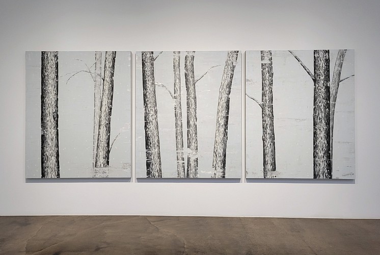 Douglas Leon Cartmel: Snowy Forest - Installation View