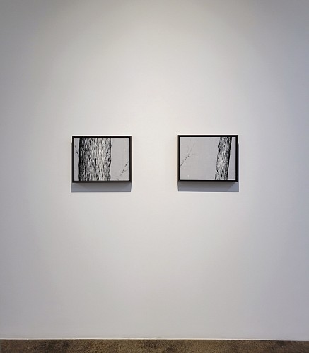 Douglas Leon Cartmel: Snowy Forest - Installation View