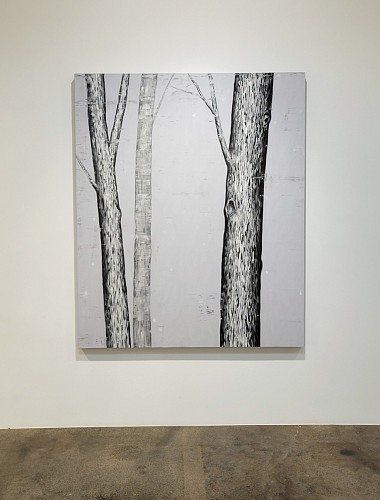 Douglas Leon Cartmel: Snowy Forest - Installation View