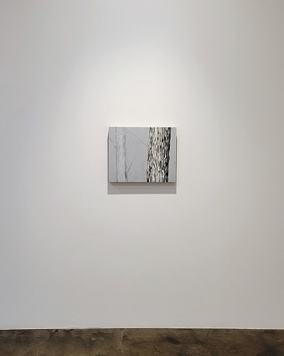 Douglas Leon Cartmel: Snowy Forest - Installation View