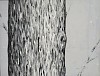 cartmel 2023 SnowyForest12 14x18 web
