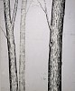 cartmel 2022 forest arch1 72x60 web