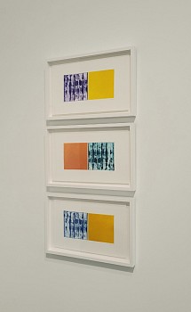 Joan Winter: Essential Light&nbsp;