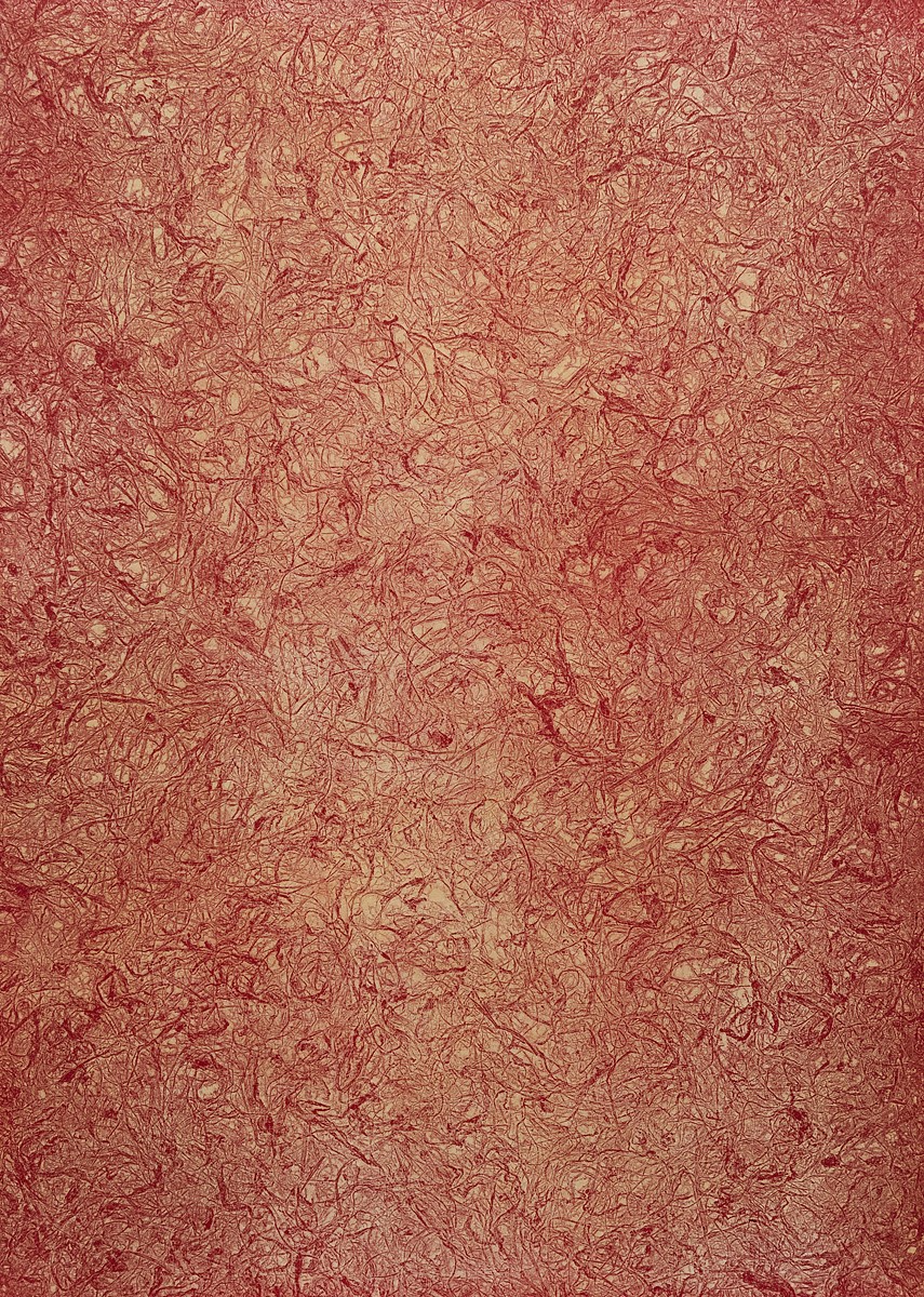 PRESS RELEASE: Joan Winter: Essential Light, Jan 6 - Mar 16, 2024