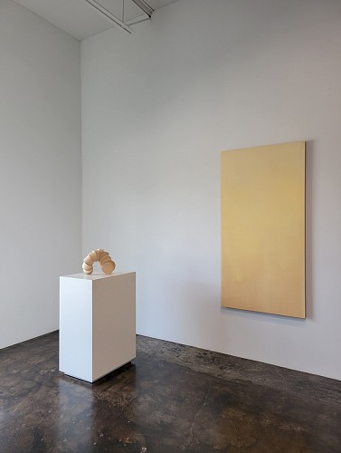 Joan Winter: Essential Light - Installation View