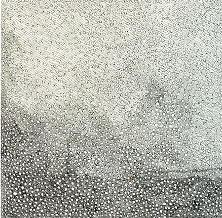 In the Viewing Room: Agnes Martin, Theresa Chong, Anna Bogatin Ott, and Jacob El Hanani - Installation View