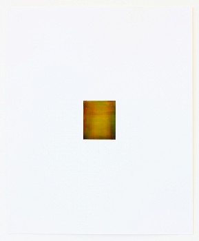 Work: Untitled (P-009)