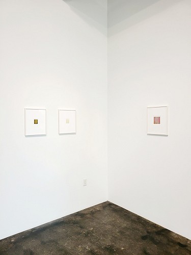 Eric Cruikshank: An Echo - Installation View