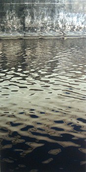 Casey Williams: New Work&nbsp;