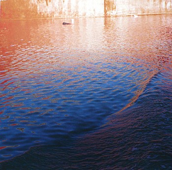 Casey Williams: New Work&nbsp;