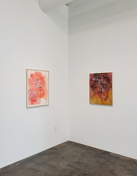 Jackie Tileston: Just This&nbsp;