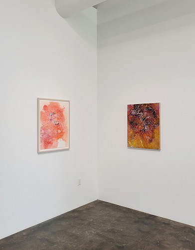 Jackie Tileston: Just This - Installation View
