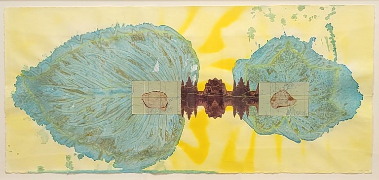 Liz Ward News: PRESS RELEASE: Liz Ward & Robert Ziebell in Across Time and Place, July 12, 2024 - Devos Art Museum