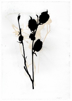 Artist: Randy Twaddle