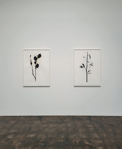 Randy Twaddle: Back to the Garden - Installation View