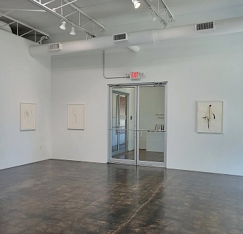 Randy Twaddle: Back to the Garden&nbsp;